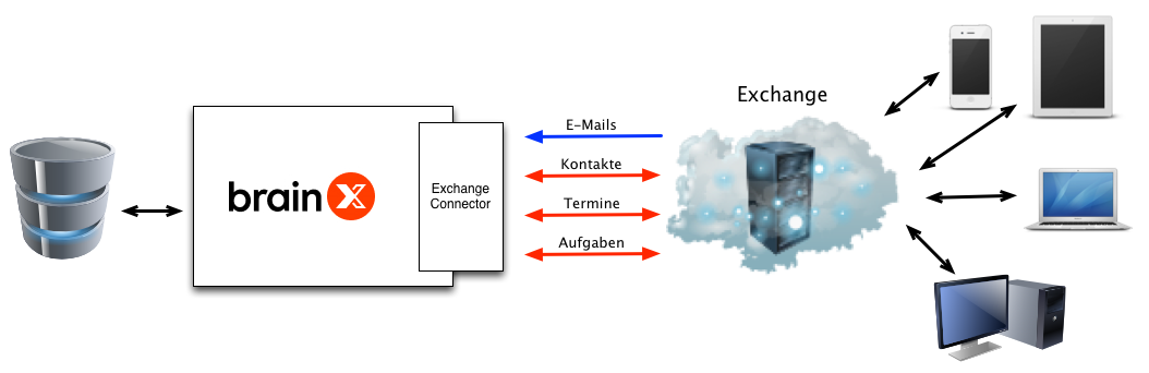 ExCo_brainX_3.png